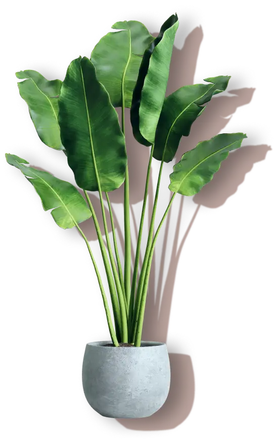 Plant pot