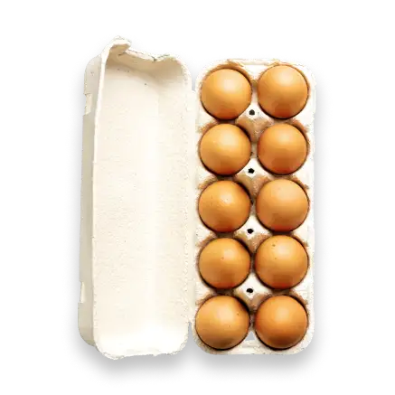 Eggs