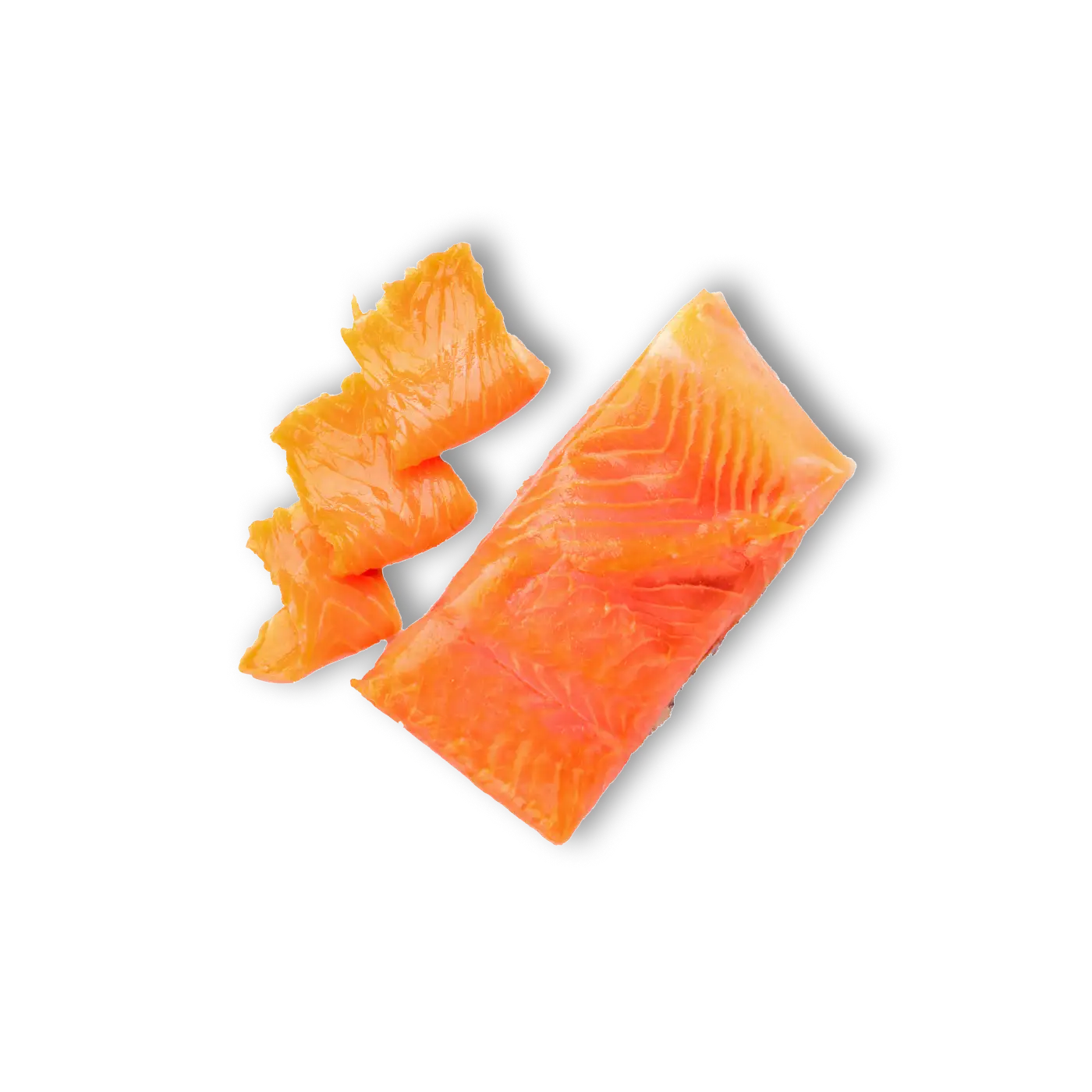 Salmon