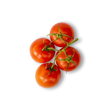 Tomatoes